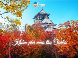 Ngắm Lá Đỏ Ở Osaka: Vẻ Đẹp Mùa Thu Quyến Rũ Tại Thành Phố Sôi Động